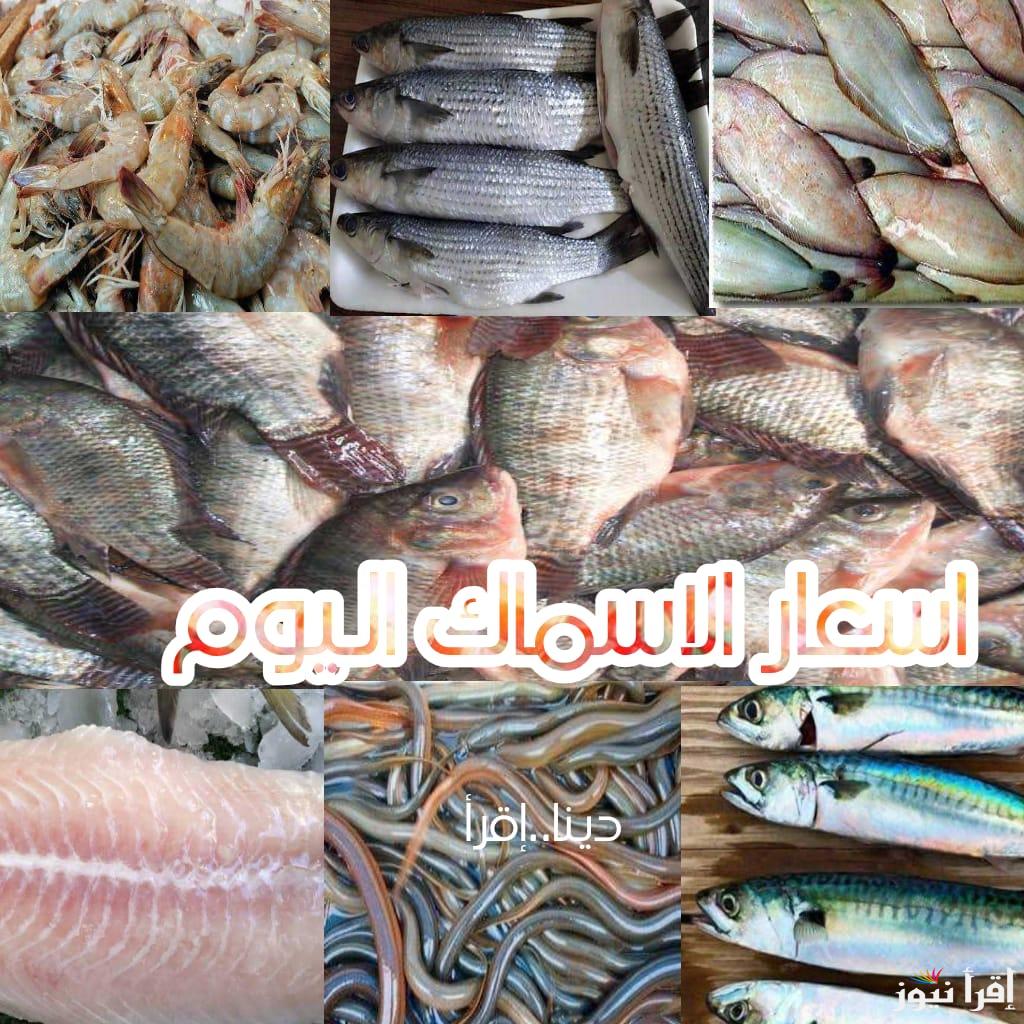 اسعار الاسماك اليوم الخميس 13 رمضان 2025 البلطي والفليه والماكريل والسبيط والجمبري والكابوريا