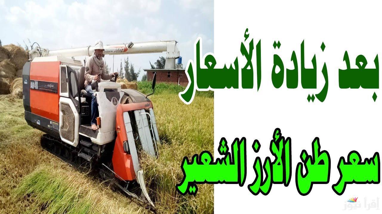 ارتفاع مفاجئ.. سعر طن الارز الشعير اليوم السبت 15 مارس 2025 في مصر