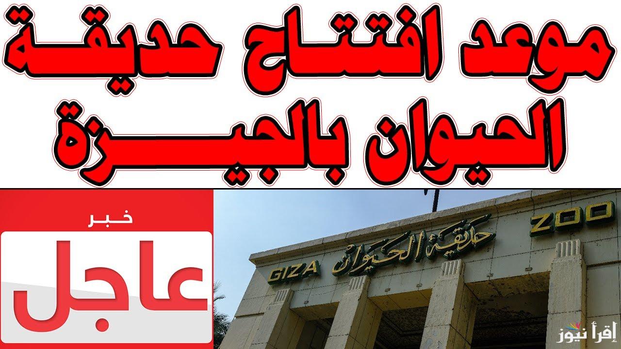 اخر الاخبار.. رسمياً الشركة المنفذة تعلن موعد موعد افتتاح حديقة الحيوان بالجيزة لعام 2025