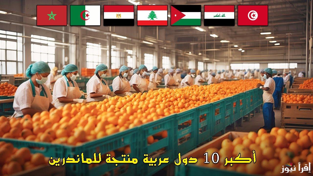 مصر الكام؟.. أكبر 10 دول في العالم في إنتاج الماندرين عالمياً