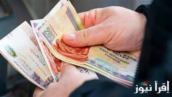 رابط الاستعلام عن زيادة المعاشات والمرتبات 2025 بالرقم القومي .. التفاصيل الكاملة عن أهم الخطوات اللازمة