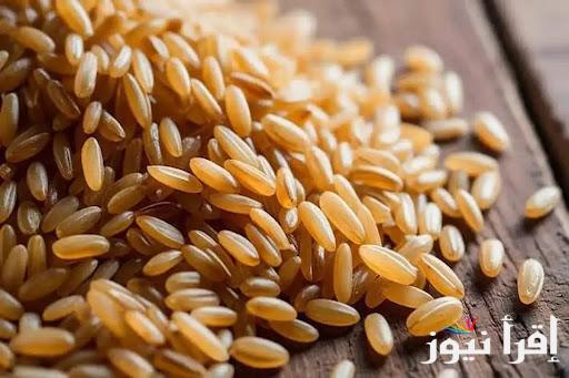 رفيع وعريض الحبة بكام؟.. أسعار الأرز الشعير اليوم الخميس 13 مارس 2025 داخل الأسواق المصرية