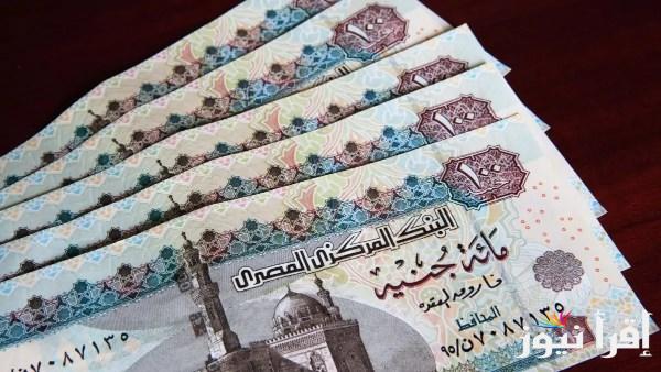 بقرار رسمي من وزارة المالية.. اخر اخبار زيادة المعاشات 2025 وموعد صرف الزيادة الجديدة