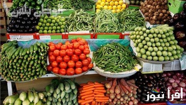 “الطماطم بكـــام” اسعار الخضار اليوم السبت 22 مارس 2025 في الاسواق واسعار الفاكهة