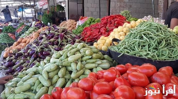 “البسلة بـ 20” اسعار الخضروات اليوم الاربعاء 12 مارس 2025 في سوق العبور وفقاً للتعاملات الأخيره