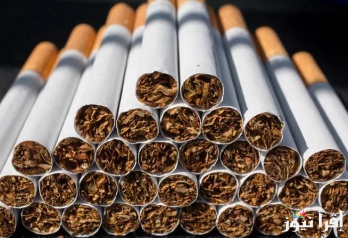 بطلها أوفر: اسعار السجائر الجديدة 2025 في الأسواق المصرية المحلية والمستوردة