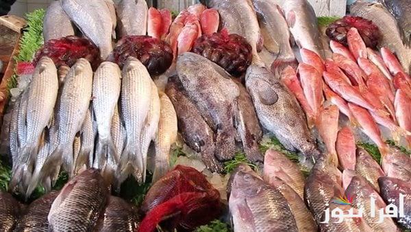البلطي قرب للـ 100 جـ.. اسعار السمك اليوم السبت 15 مارس 2025 في الأسواق المصرية
