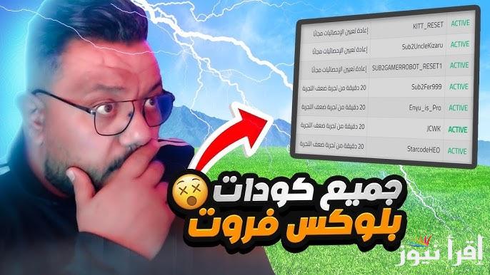 اكواد بلوكس فروت Blox Fruits المجانية 2025 مضمونة 100% وصالحة للجميع وما هي كيفية استبدالها من الموقع الرسمي