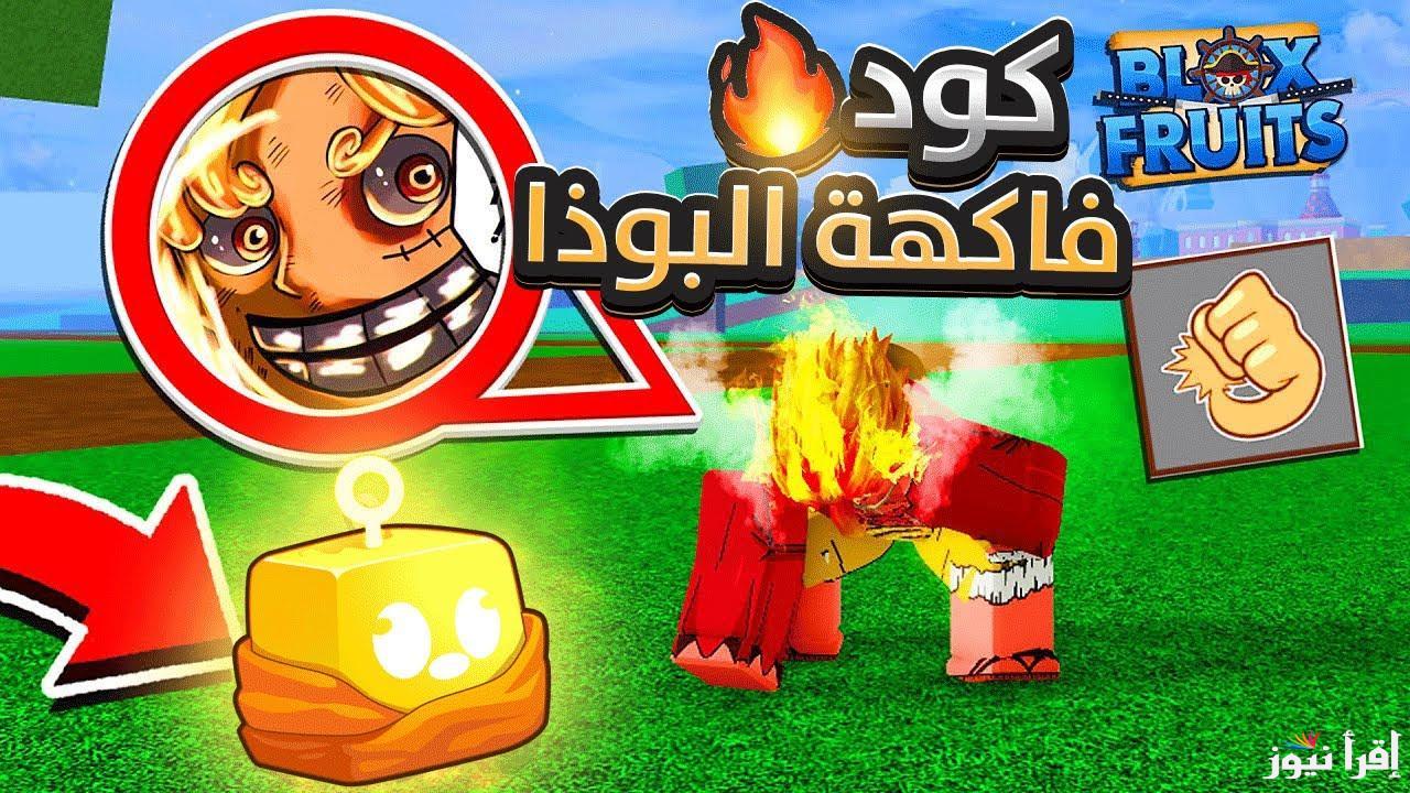 أحدث أكواد بلوكس فورت المجانية Blox Fruits Codes احصل على مكافآت وأسكنز قوية الآن