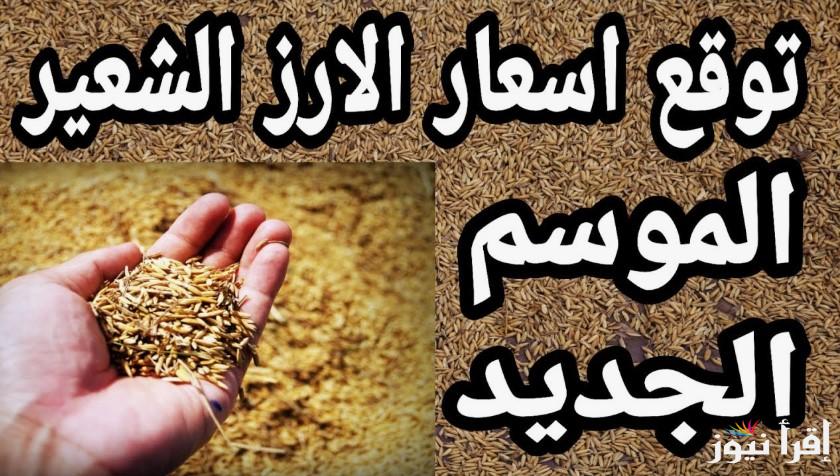 السوق هيولع نار .. سعر طن الأرز الشعير اليوم الجمعة 14 مارس 2025 في مصر