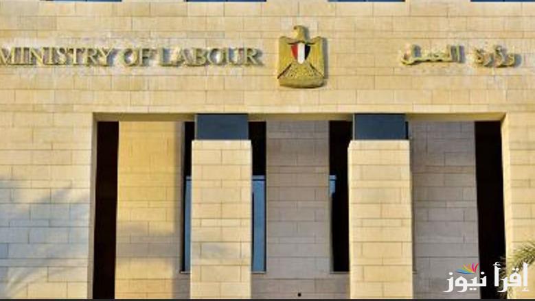 دفعة عيد الفطر… رابط الاستعلام عن منحة العمالة الغير منتظمة 2025 عبر manpower.gov.eg وموعد صرفها
