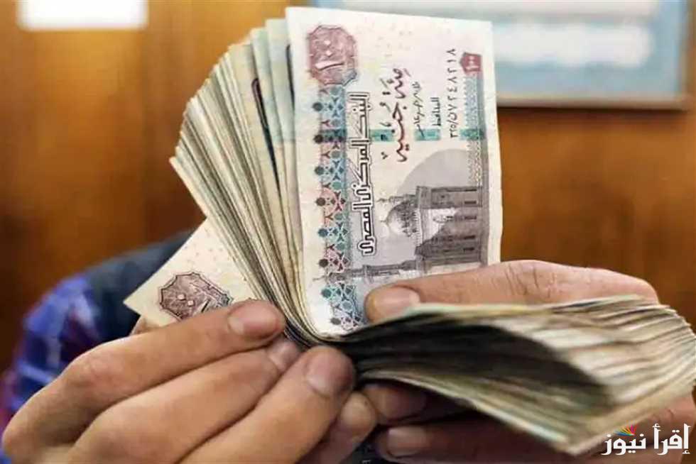 ” من هنـــــا” التقديم على منحة العمالة غير المنتظمة 2025 عبر الموقع الرسمي لوزارة القوي العاملة manpower.gov.eg