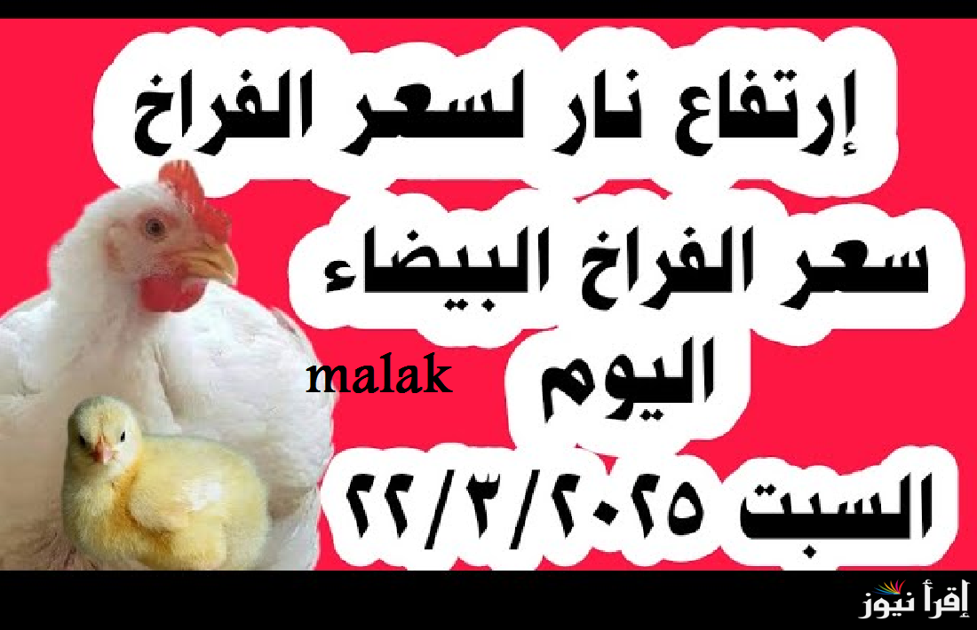 “الكيلو عدى” أسعار الدواجن اليوم السبت 22 مارس 2025 في الاسواق والمحلات