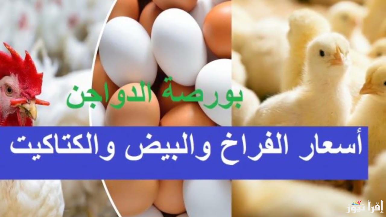 اسعار الفراخ اليوم فى الأسواق 2025 بورصة الدواجن اليوم أسعار الدجاج السبت 15 مارس 2025 سعر كرتونة البيض