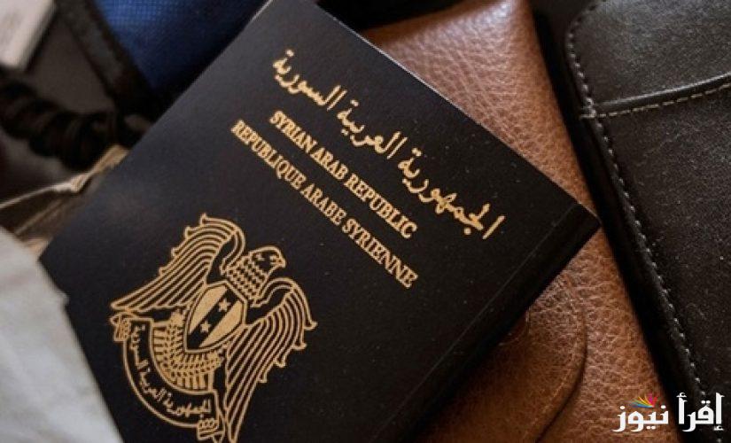 منصة جواز السفر السوري 2025 تجديد جواز السفر عبر منصة mofaex.gov.sy الوثائق المطلوبة