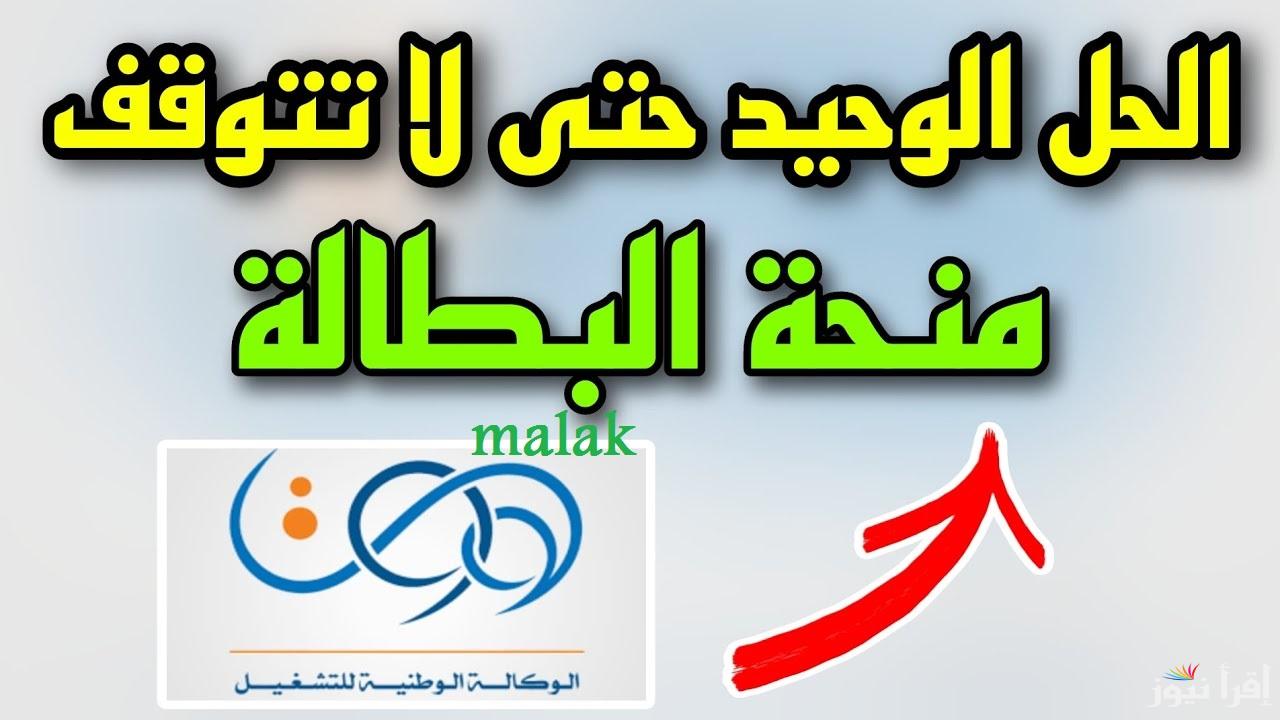 “سجل واحصل على دخل” تجديد منحة البطالة بالجزائر 2025 وأهم الشروط المطلوبة