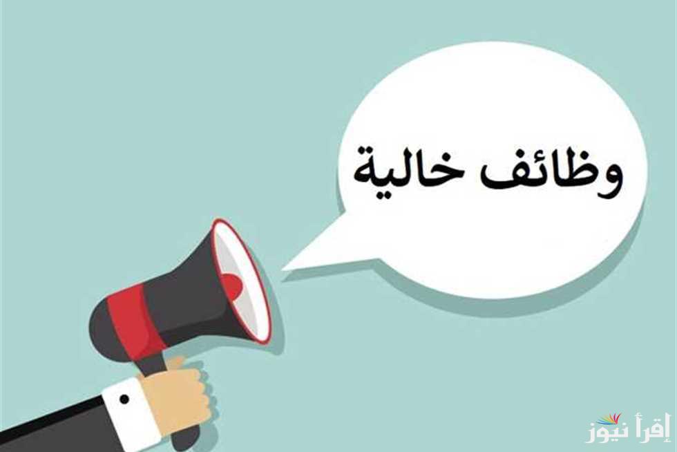 مضيعش الفرصة.. تفاصيل وظائف وزارة الشباب والرياضة 2025 من خلال الرابط www.emys.gov.eg