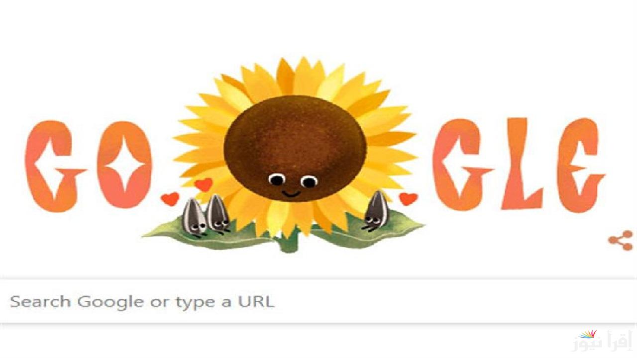 الشعار الجديد Google .. جوجل يحتفي بزهرة عباد الشمس في شعاره اليوم فما القصة؟