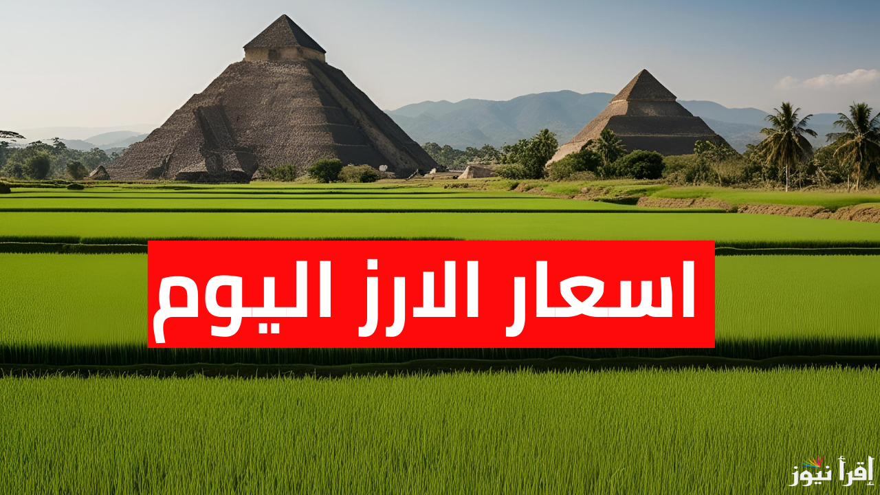 الشعير والبلدي بكام النهاردة.. اسعار الارز اليوم الاربعاء 12 مارس 2025 في الأسواق المصرية