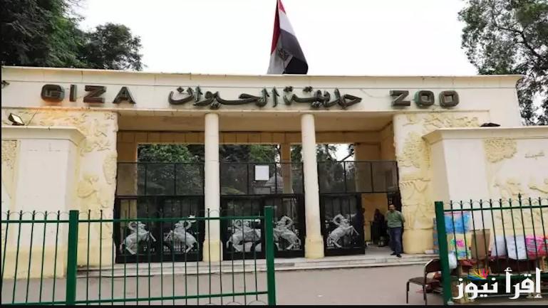 هل قبل العيد؟ موعد افتتاح حديقة الحيوان بالجيزة والتفاصيل الكاملة عن خطة التطوير لأحياء تراثها العريق