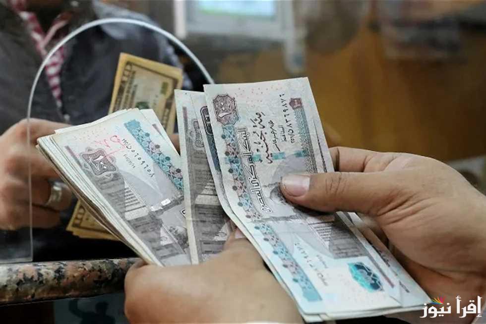 “من هنــا” رابط الاستعلام عن صرف منحة العمالة الغير منتظمة 2025 والشروط المطلوبة للاستفادة من المنحة