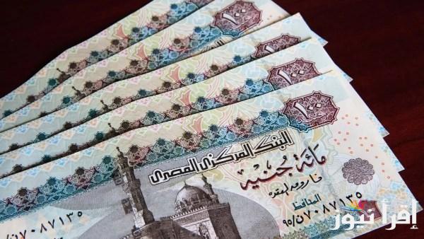 “من هنــــا” رابط الاستعلام عن منحة رمضان للعمالة الغير منتظمة 1000 جنية 2025 manpower.gov.eg