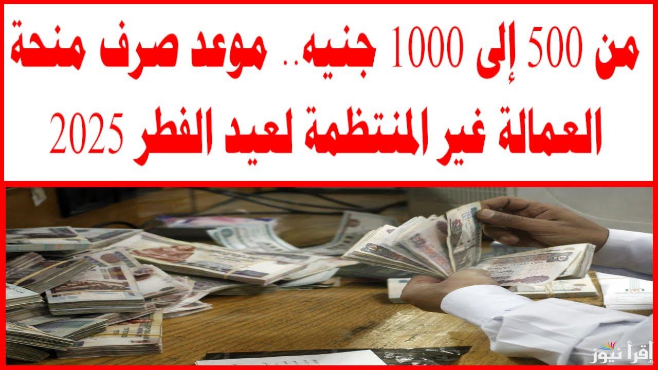 بشري سارة قبل العيد .. رابط الاستعلام عن منحه العماله الغير منتظمه عيد الفطر 2025 بالرقم القومي من هاتفك manpower.gov.eg