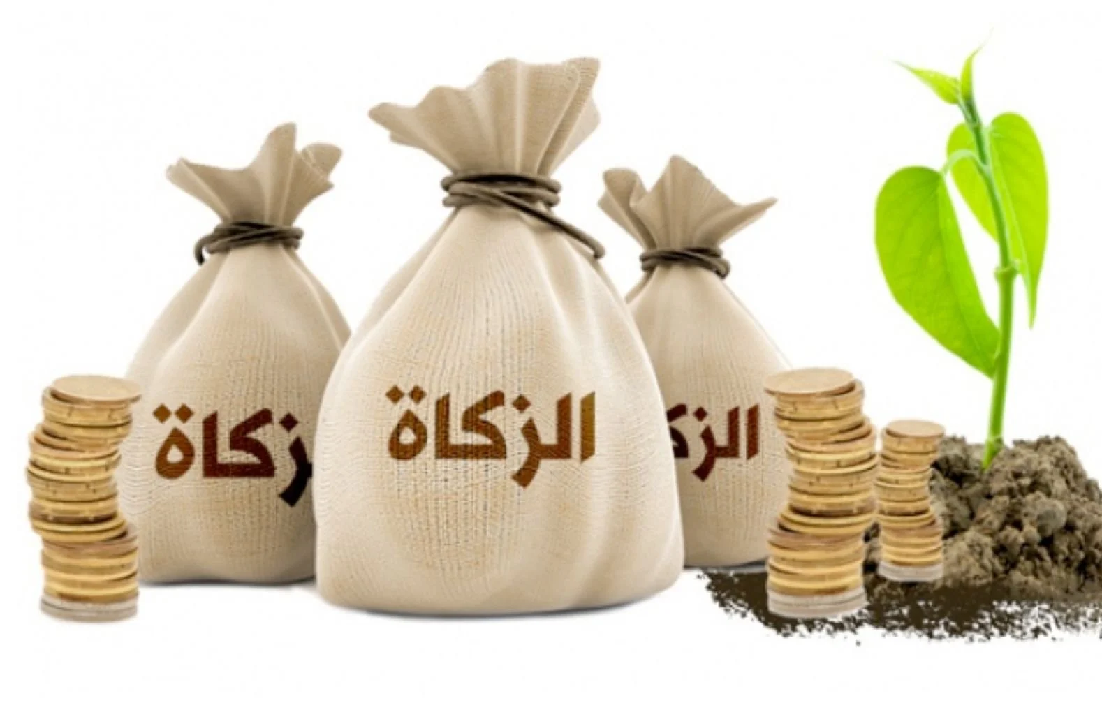 موعد اخراج الزكاة في رمضان وكيفية حساب زكاة الفطر 1446/2025 السعودية