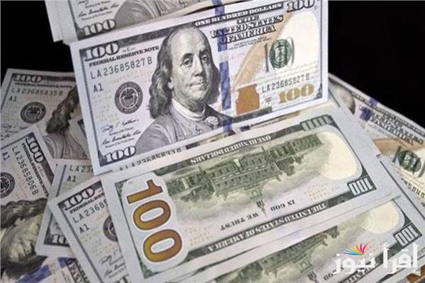 “مقرب علي 51 جنيه” سعر الدولار في السوق السوداء اليوم الثلاثاء 11 مارس 2025 وفقاً لأخر تحديث