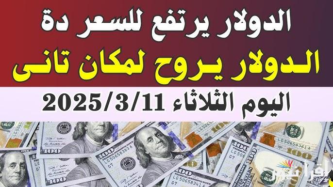 تراجع الــdollar.. سعر الدولار في السوق السوداء اليوم الثلاثاء 11/3/2025 مقابل الجنيه المصري