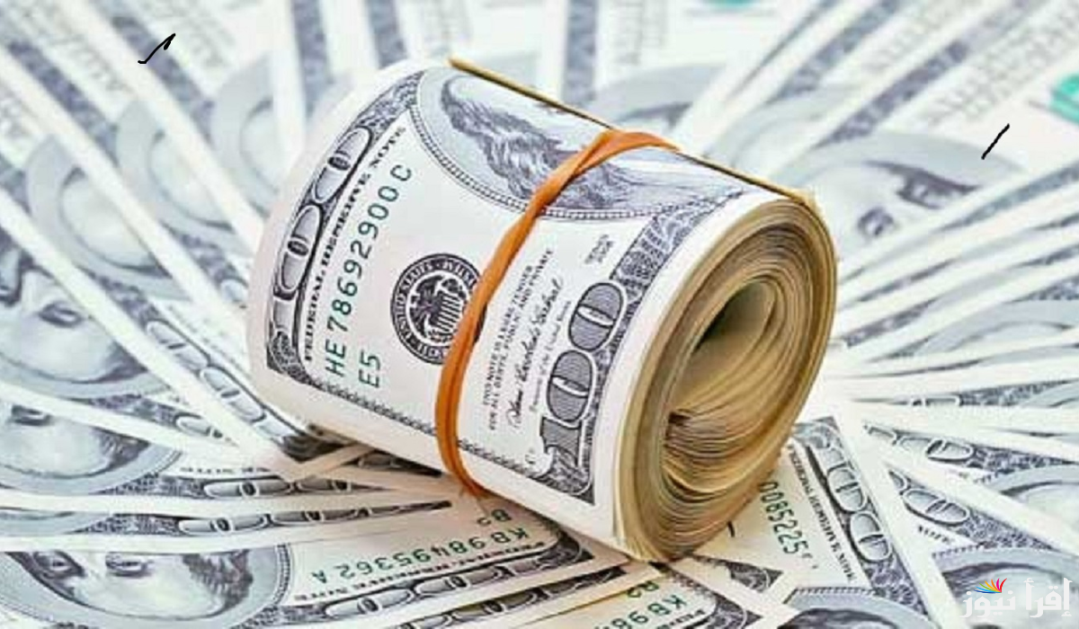 الورقة الخضرا بكــام .. سعر الدولار في السوق السوداء اليوم الثلاثاء 4 مارس 2025 والبنوك المصرية