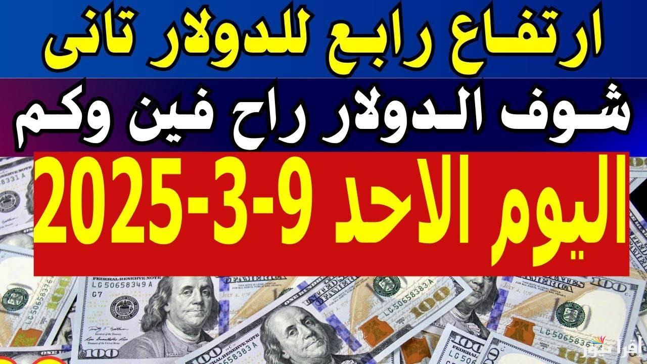 الأخضر ضرب في العالي.. سعر الدولار مقابل الجنيه المصري اليوم في منتصف تعاملات الاثنين 10/3/2025 في السوق السوداء والبنوك
