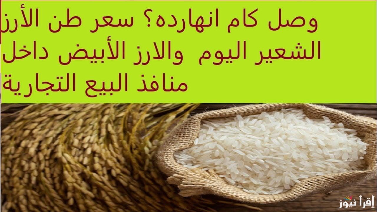مفاجأة بغير العادة.. سعر طن الأرز الشعير اليوم السبت 8 مارس 2025 للمُستهلك في الأسواق المصرية