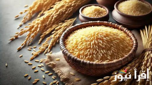 “أرز الضحى بكام” سعر طن الأرز الشعير اليوم الأحد 9 مارس 2025 في الأسواق المصرية