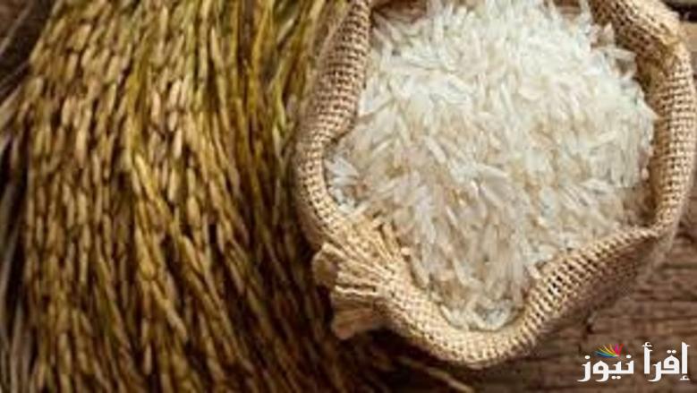 الحبة العريضة بكام النهاردة؟ سعر طن الأرز الشعير اليوم الثلاثاء 18 مارس 2025 وأسعار السلع الاساسية