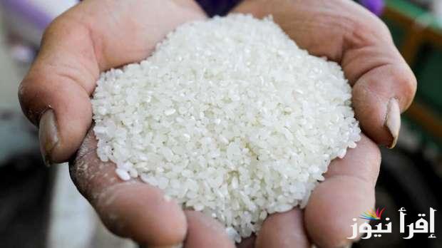 “بكام الطن؟” سعر طن الأرز الشعير اليوم الاحد 23 مارس 2025 داخل الاسواق المصرية