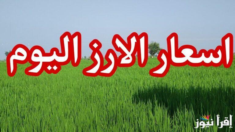 البلدي بكام في رمضان.. سعر طن الارز الشعير اليوم الاثنين 3 مارس 2025 في مصر