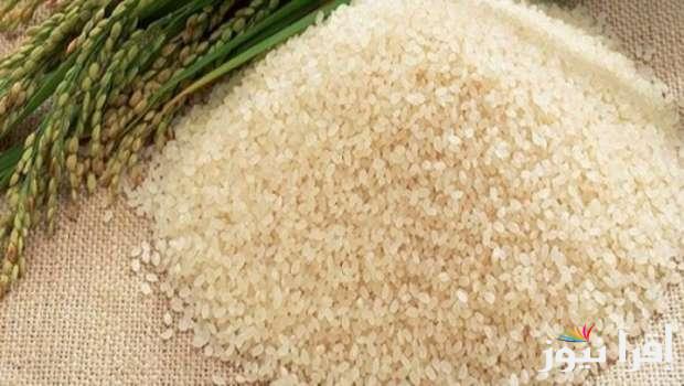 الحبة العريضة عاملة كام؟.. سعر طن الأرز الشعير اليوم الاثنين 31 مارس 2025 في الاسواق