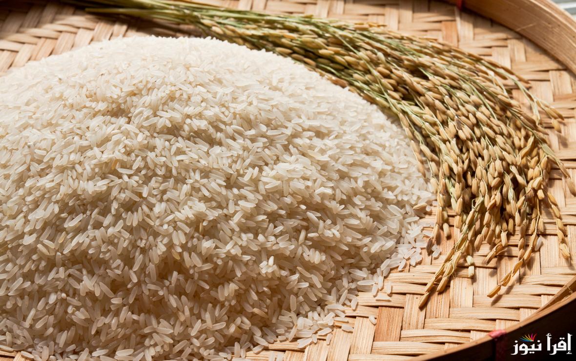 وصل كام انهاردة؟ .. سعر طن الأرز الشعير اليوم الثلاثاء 4 مارس 2025 داخل الأسواق المحلية