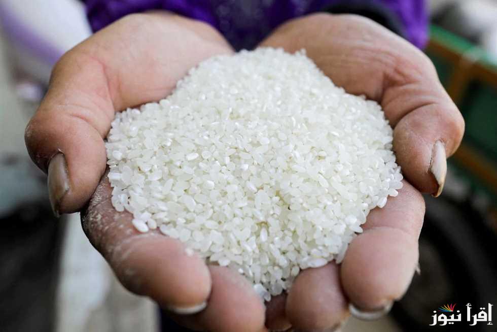 “العريض والرفيع سجل كام” سعر طن الأرز الشعير اليوم الأربعاء 5 مارس 2025 والحبوب والبقوليات في بداية التعاملات