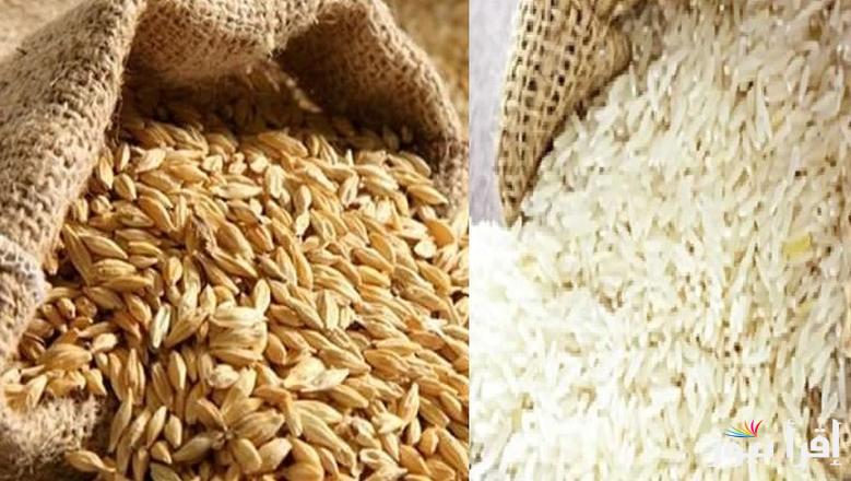 بكام عريض ورفيع الحبة؟.. سعر طن الأرز الشعير اليوم الخميس 6 مارس 2025 في الأسواق المصرية