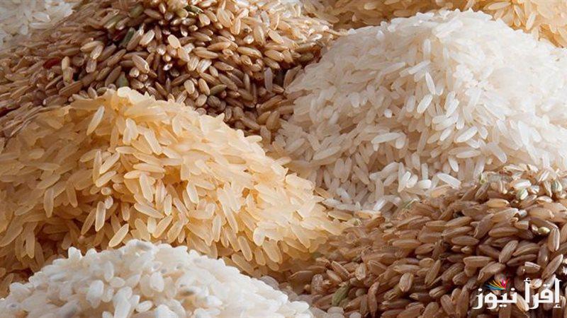 عريض الحبة بكام ؟.. سعر طن الأرز الشعير اليوم الأربعاء 26 مارس 2025 داخل منافذ البيع المصرية