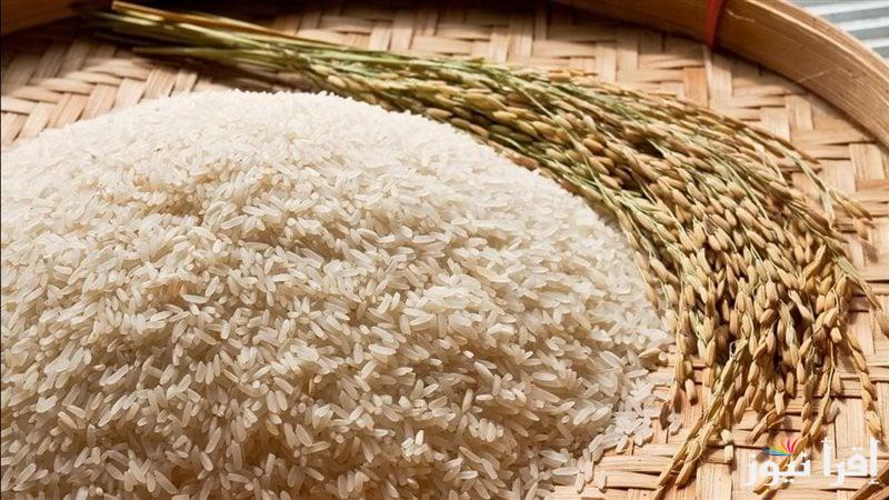 “بالكيلو وبالطن” سعر طن الأرز الشعير اليوم الثلاثاء 11 مارس 2025 والسلع الغذائية داخل الأسواق المحلية