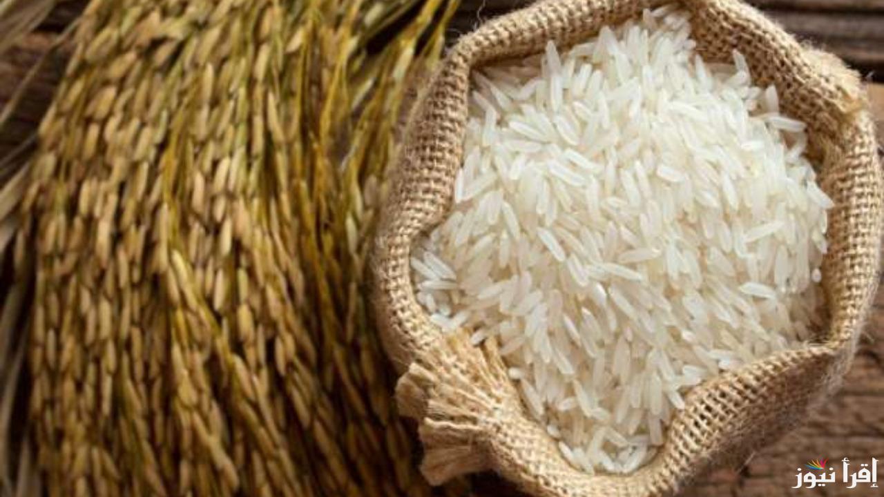 “مفاجأة في الأسعار”.. سعر طن الأرز الشعير اليوم الإثنين 17 مارس 2025 في الأسواق