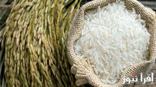 “بكام في السوق؟” سعر طن الأرز الشعير اليوم الاثنين 3 مارس 2025 داخل الأسواق المحلية في مصر