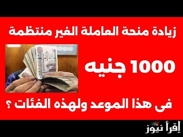 بشري سارة للمواطنين.. صرف منحة العمالة الغير منتظمة 2025 بالرقم القومي طبقا لقرارات وزارة العمل في مصر