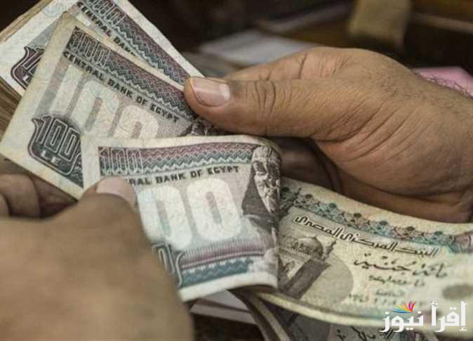 1500 جنيه للمزارعين.. طريقة التسجيل في منحة العمالة غير المنتظمة 2025 خلال manpower.gov.eg والفئات المستفيدة