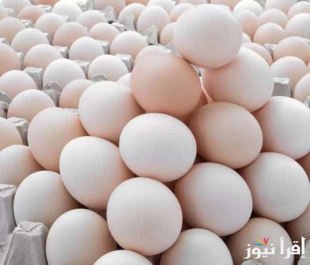 هنشتريها بكام؟ سعر كرتونة البيض اليوم للمستهلك السبت 22 مارس 2025 في الأسواق المحلية المصرية