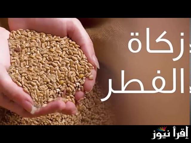 كم مقدار زكاة الفطر نقداً في سلطنة عمان 2025 – 1446 وخطوات الدفع عبر هذا الرابط donate.om