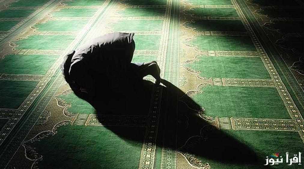 ما هو الفرق بين صلاة التهجد وصلاة التراويح في شهر رمضان 2025 دار الإفتاء المصرية توضح